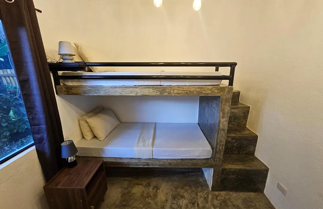 Crazy Bears Hostel-1