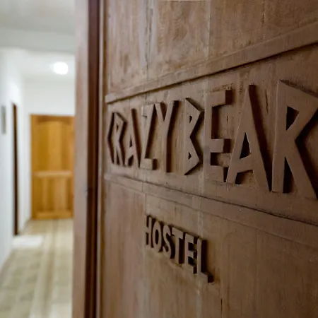 Crazy Bears Hostel-3